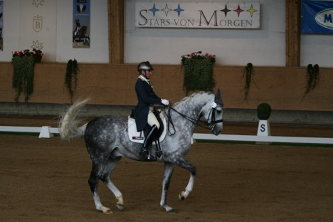 Dressur Aktuell ::: Archiv